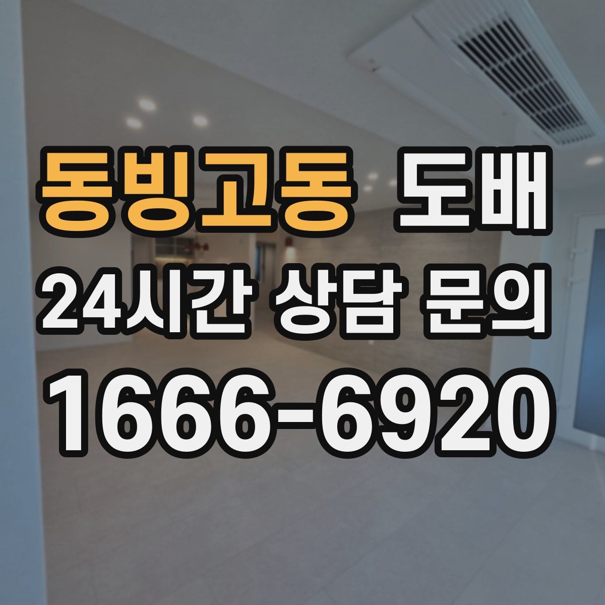 동빙고동 도배