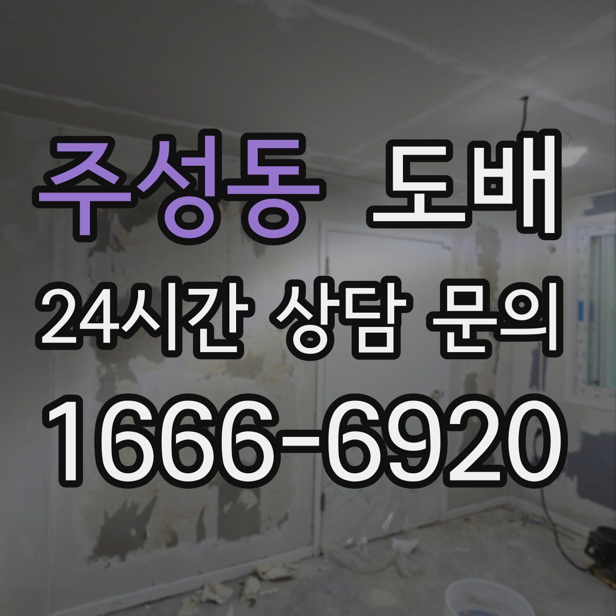 주성동 도배