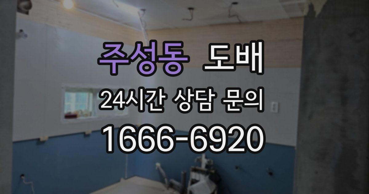 주성동 도배