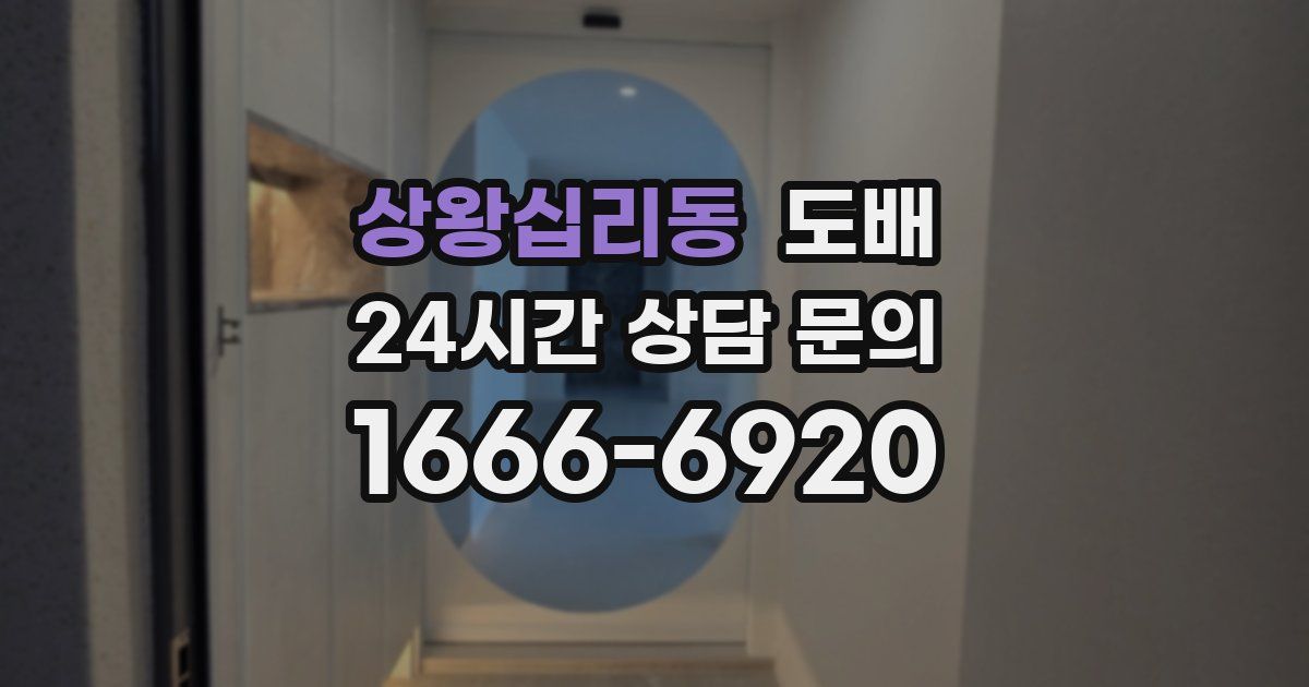 상왕십리동 도배