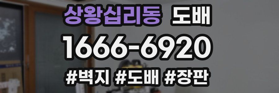 상왕십리동 도배