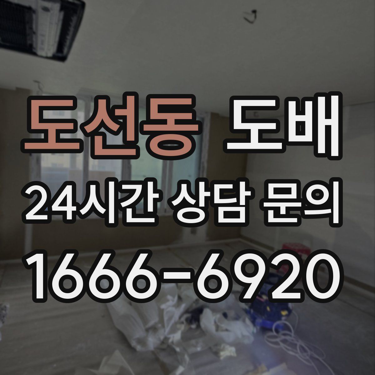 도선동 도배