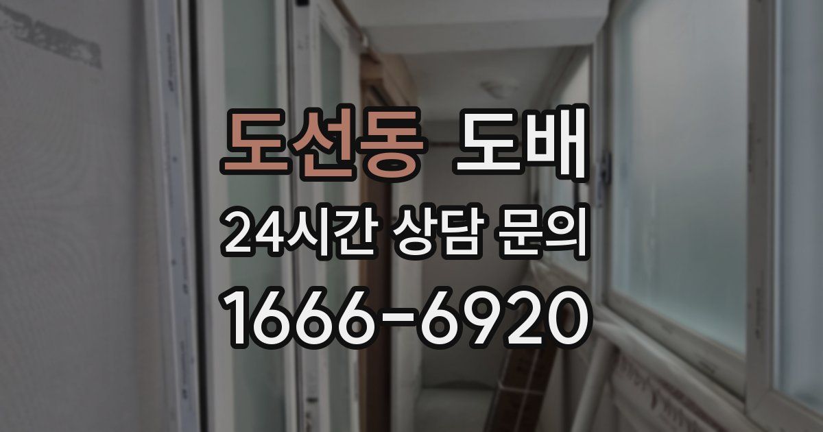 도선동 도배
