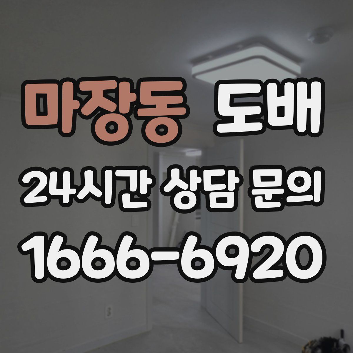 마장동 도배