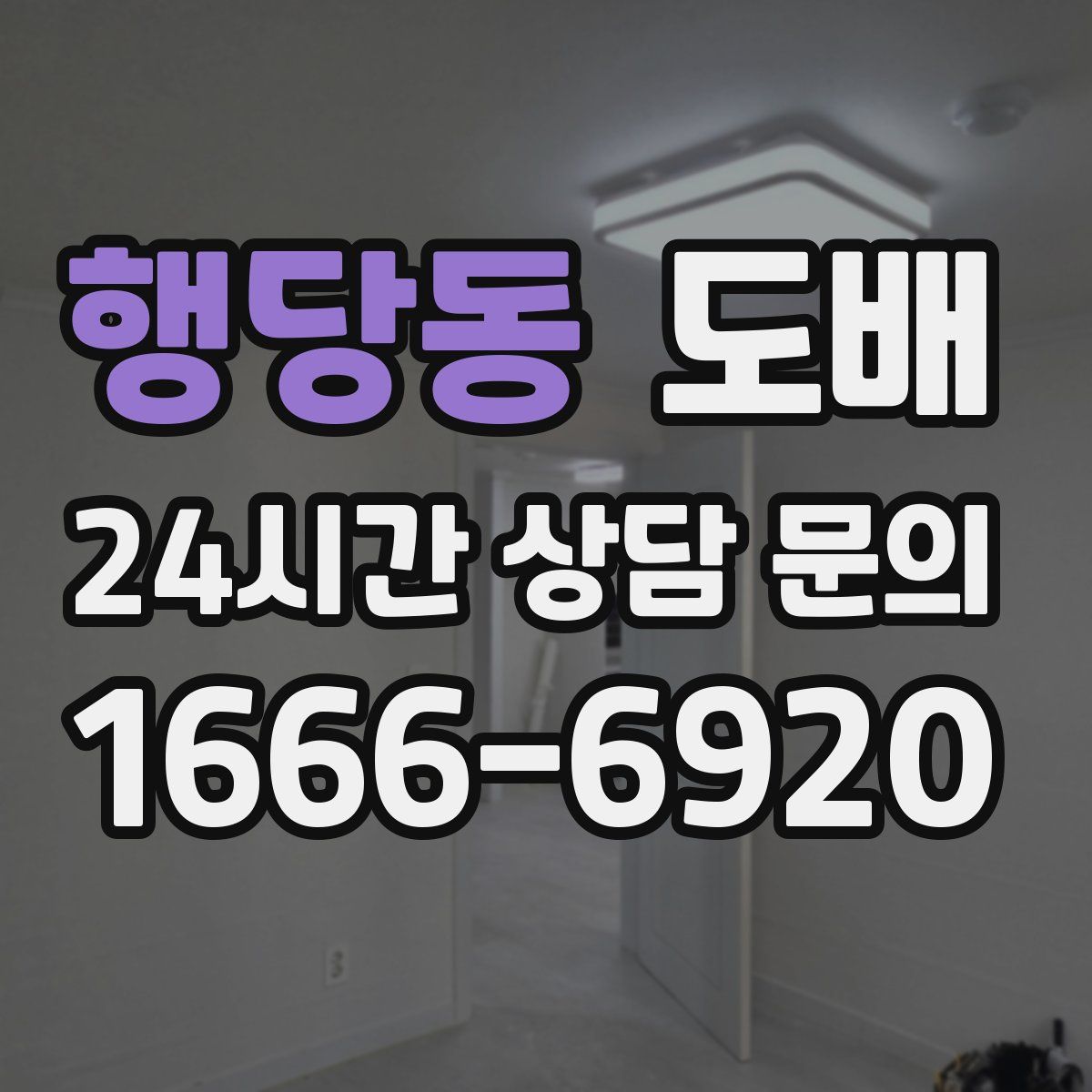 행당동 도배