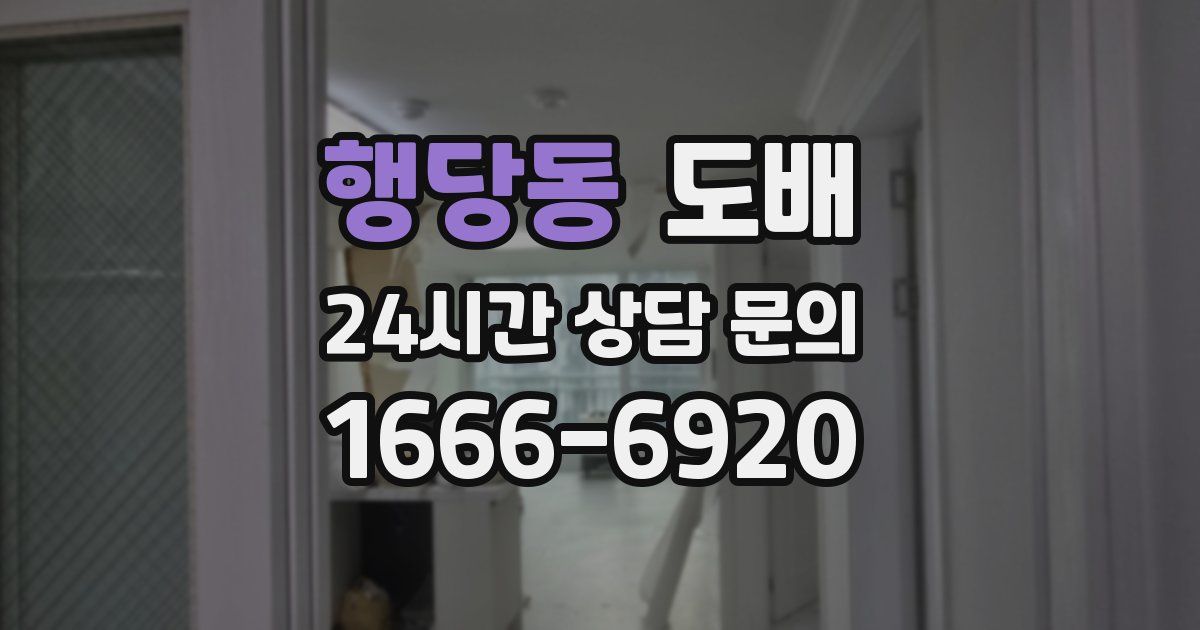 행당동 도배