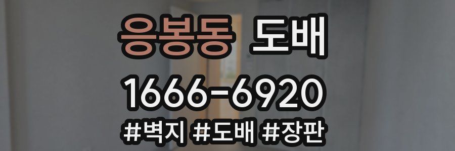 응봉동 도배