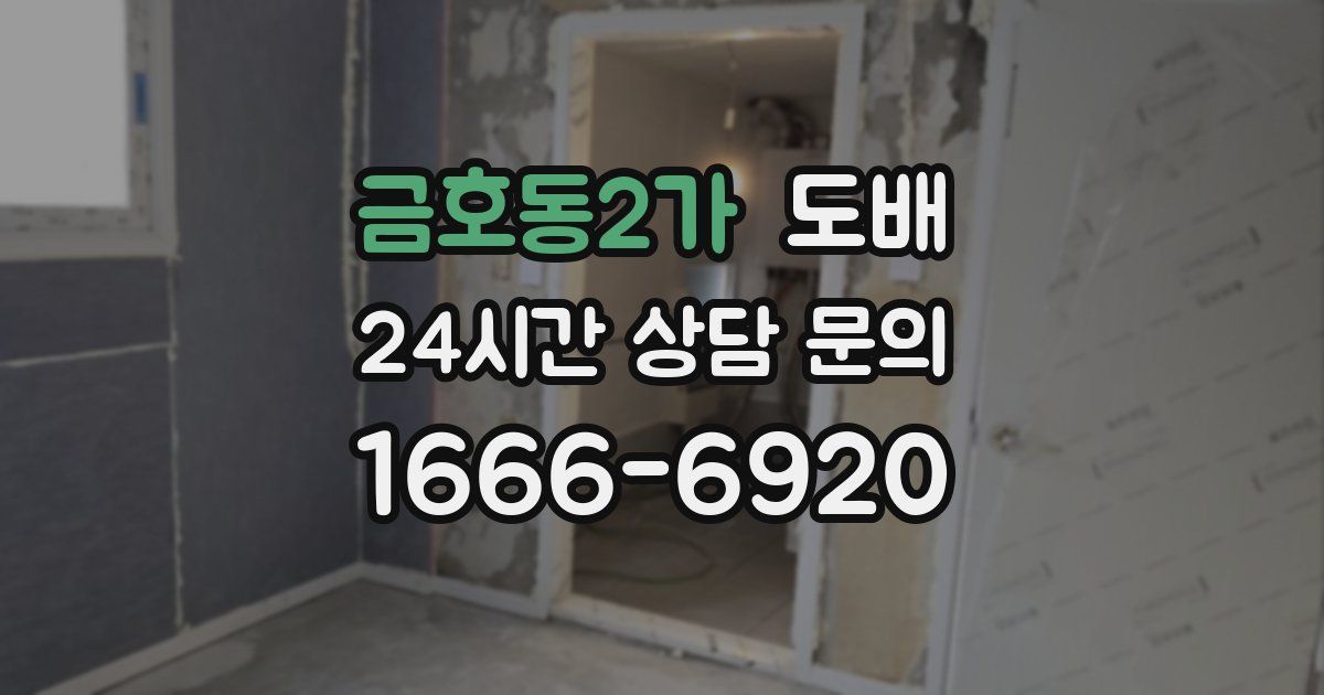 금호동2가 도배