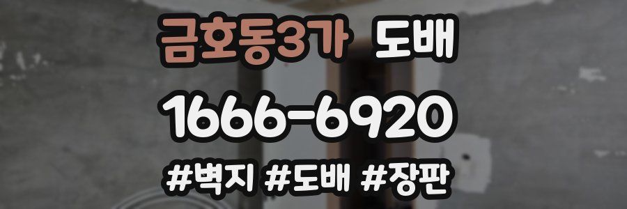 금호동3가 도배