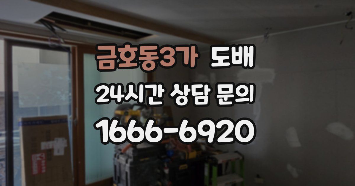 금호동3가 도배