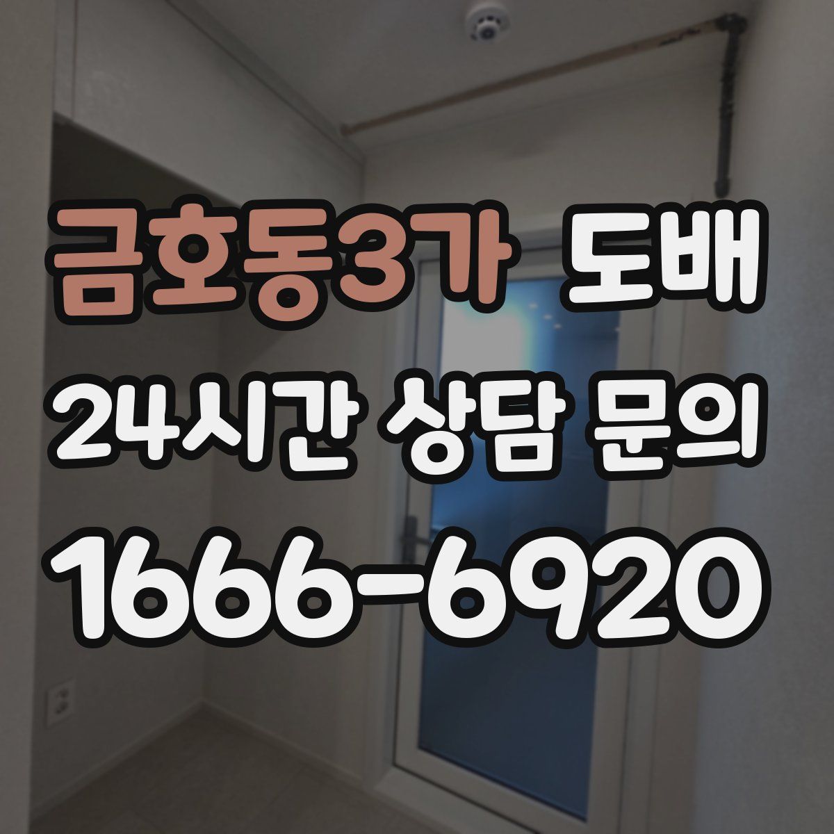 금호동3가 도배