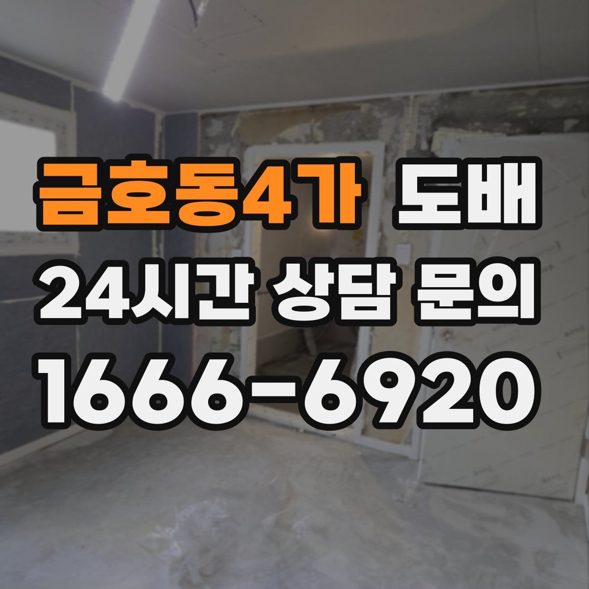 금호동4가 도배