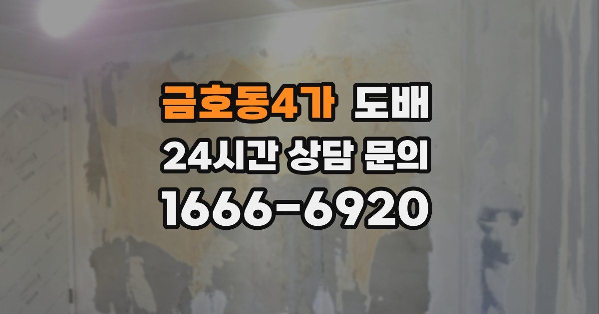 금호동4가 도배