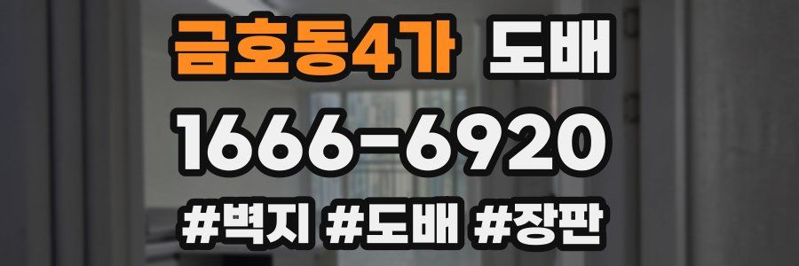 금호동4가 도배