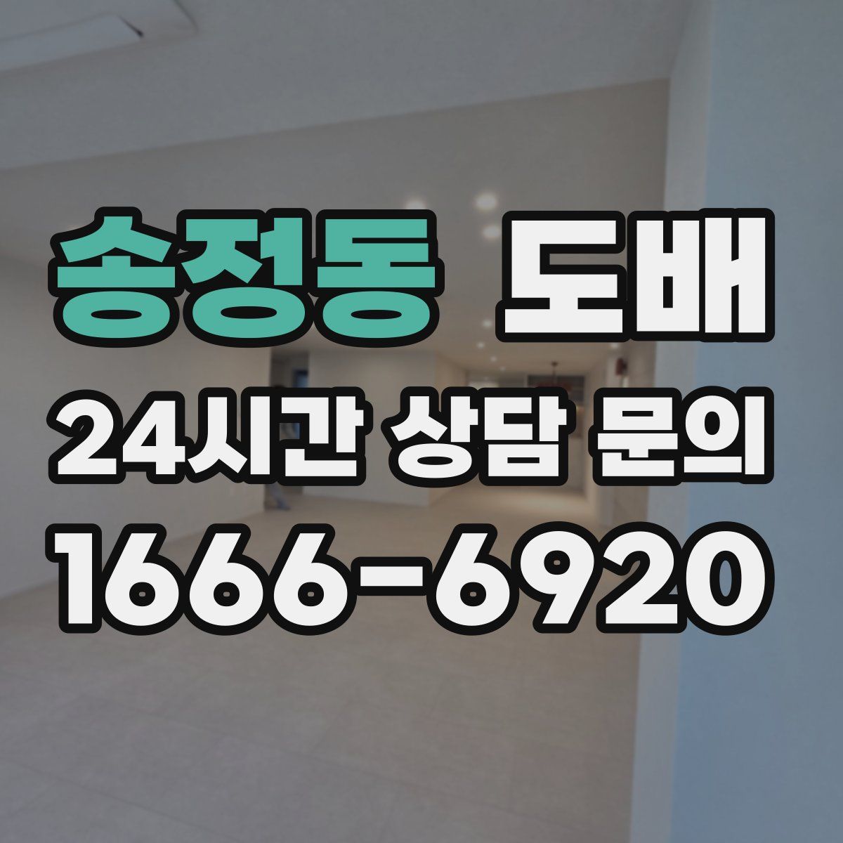 송정동 도배