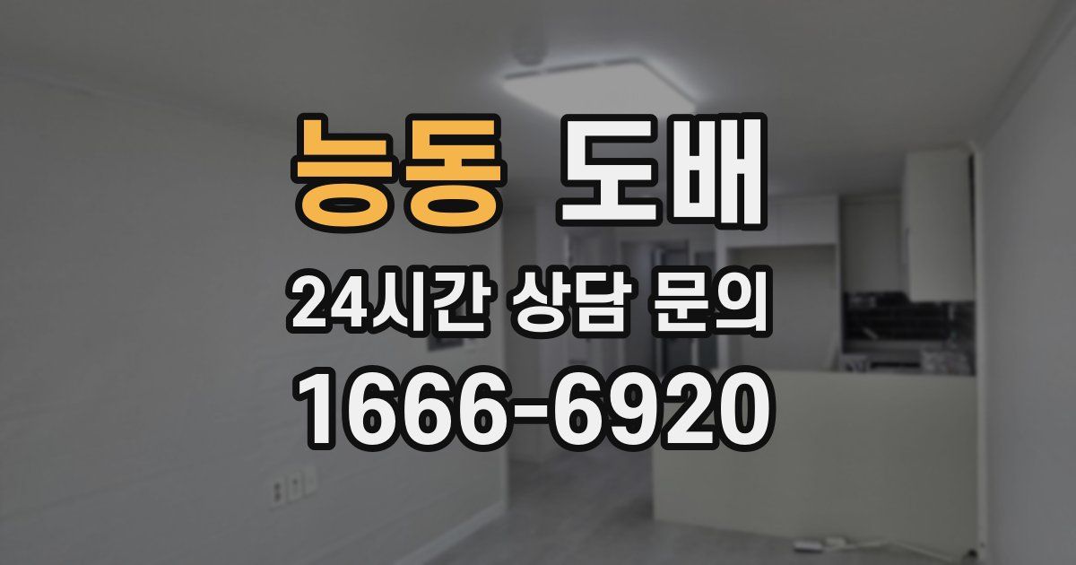 능동 도배