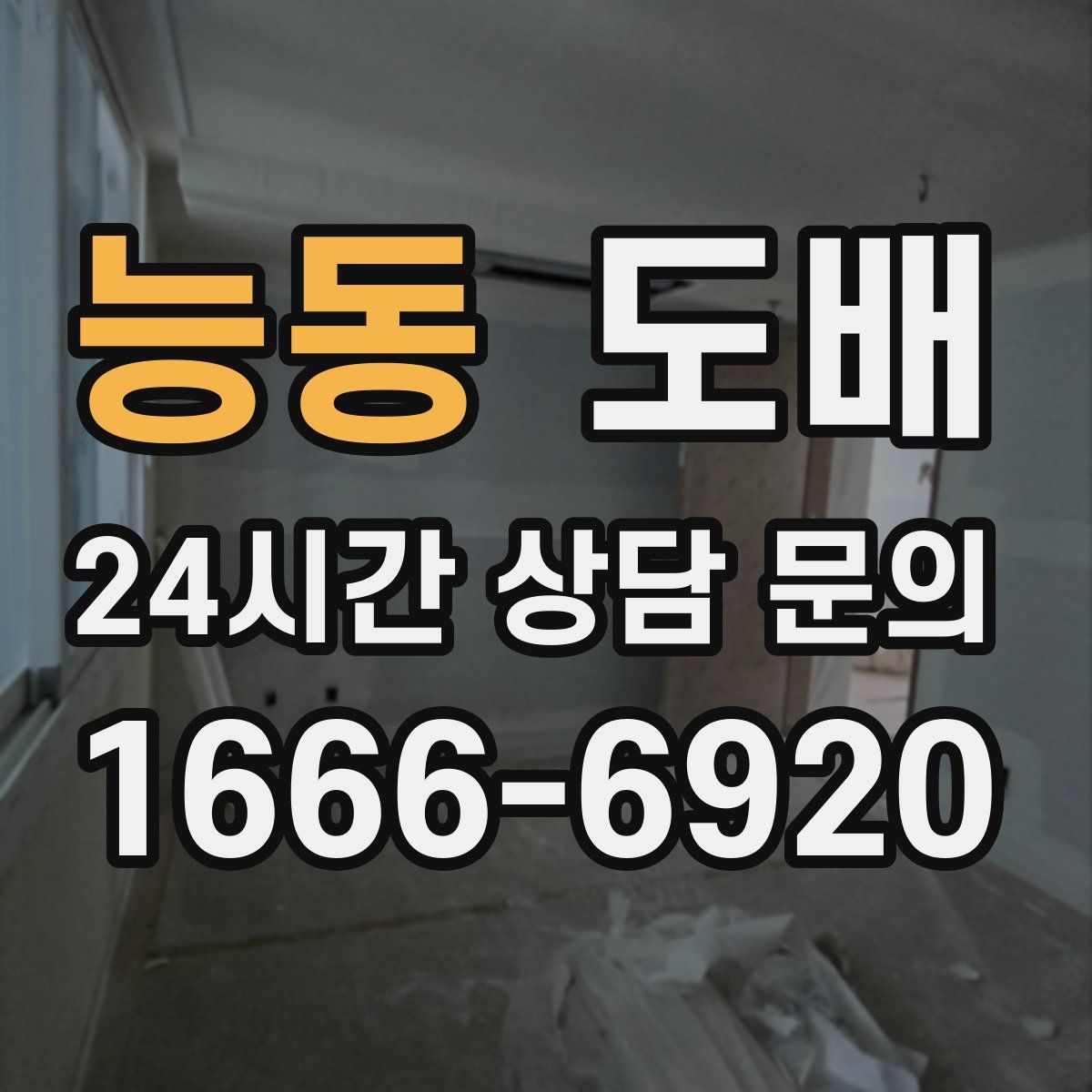 능동 도배
