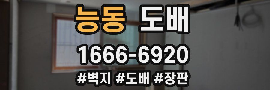 능동 도배