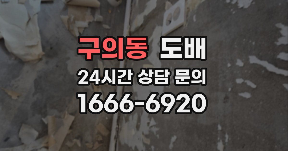 구의동 도배