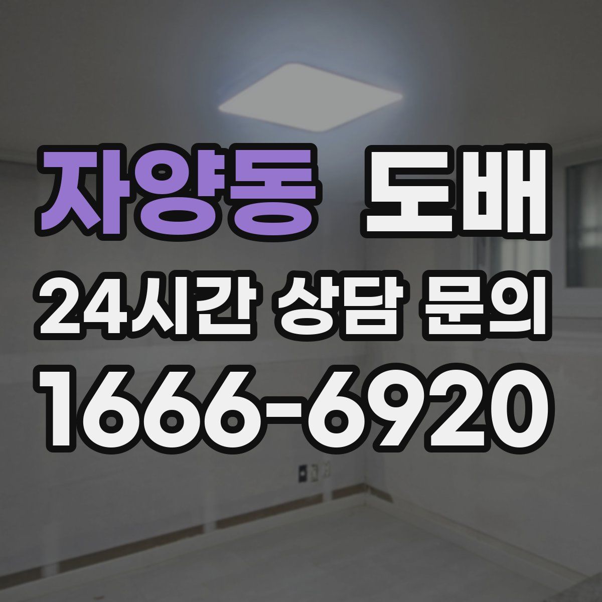 자양동 도배