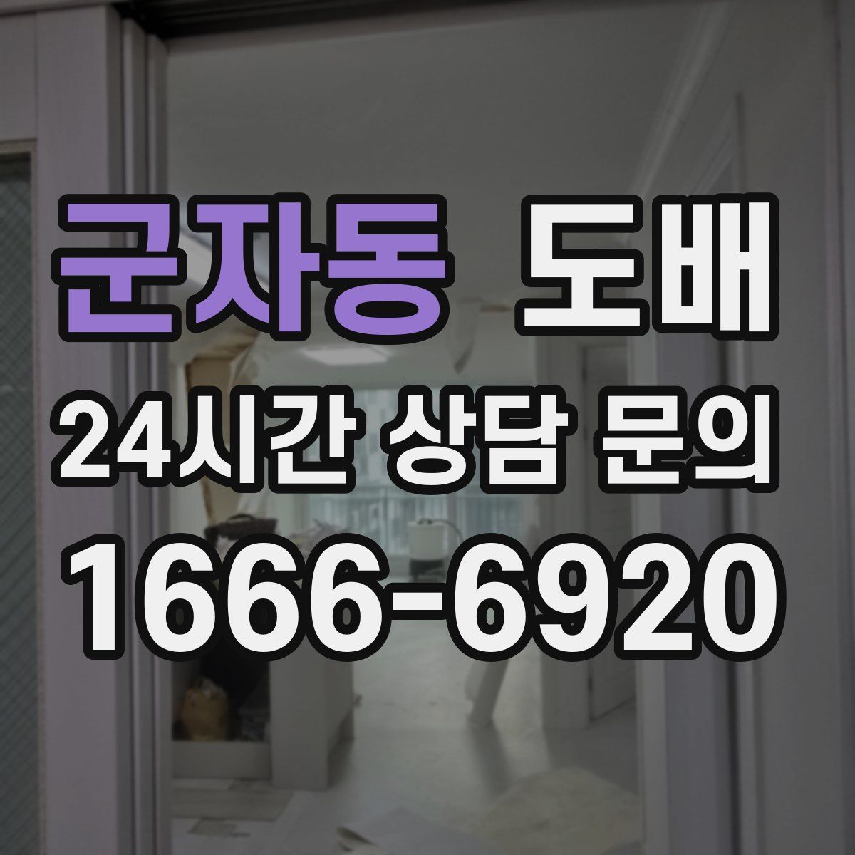 군자동 도배