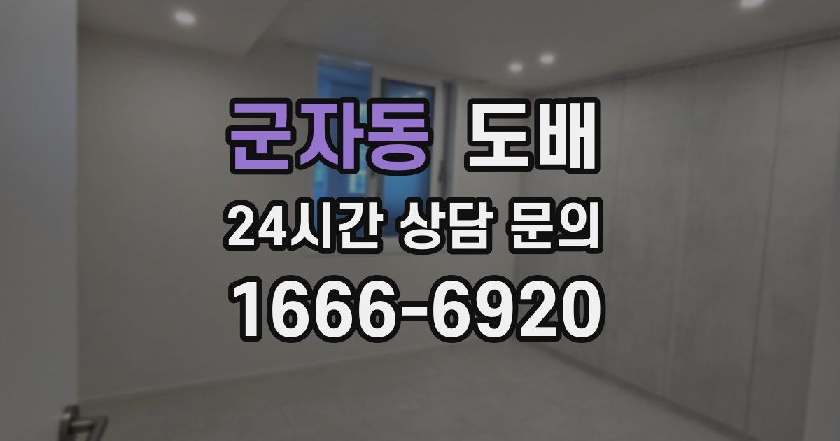 군자동 도배