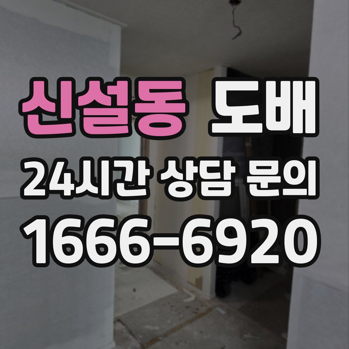 신설동 도배