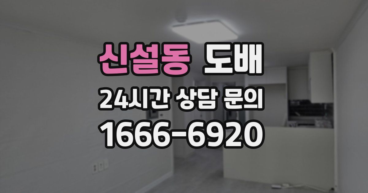 신설동 도배