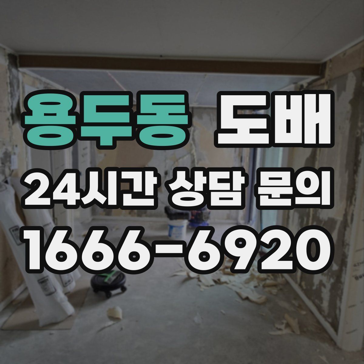 용두동 도배