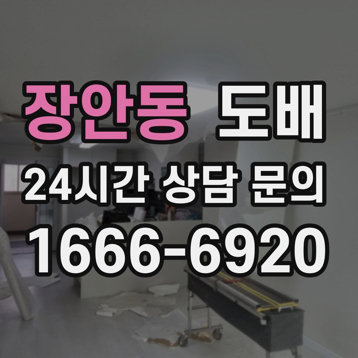 장안동 도배