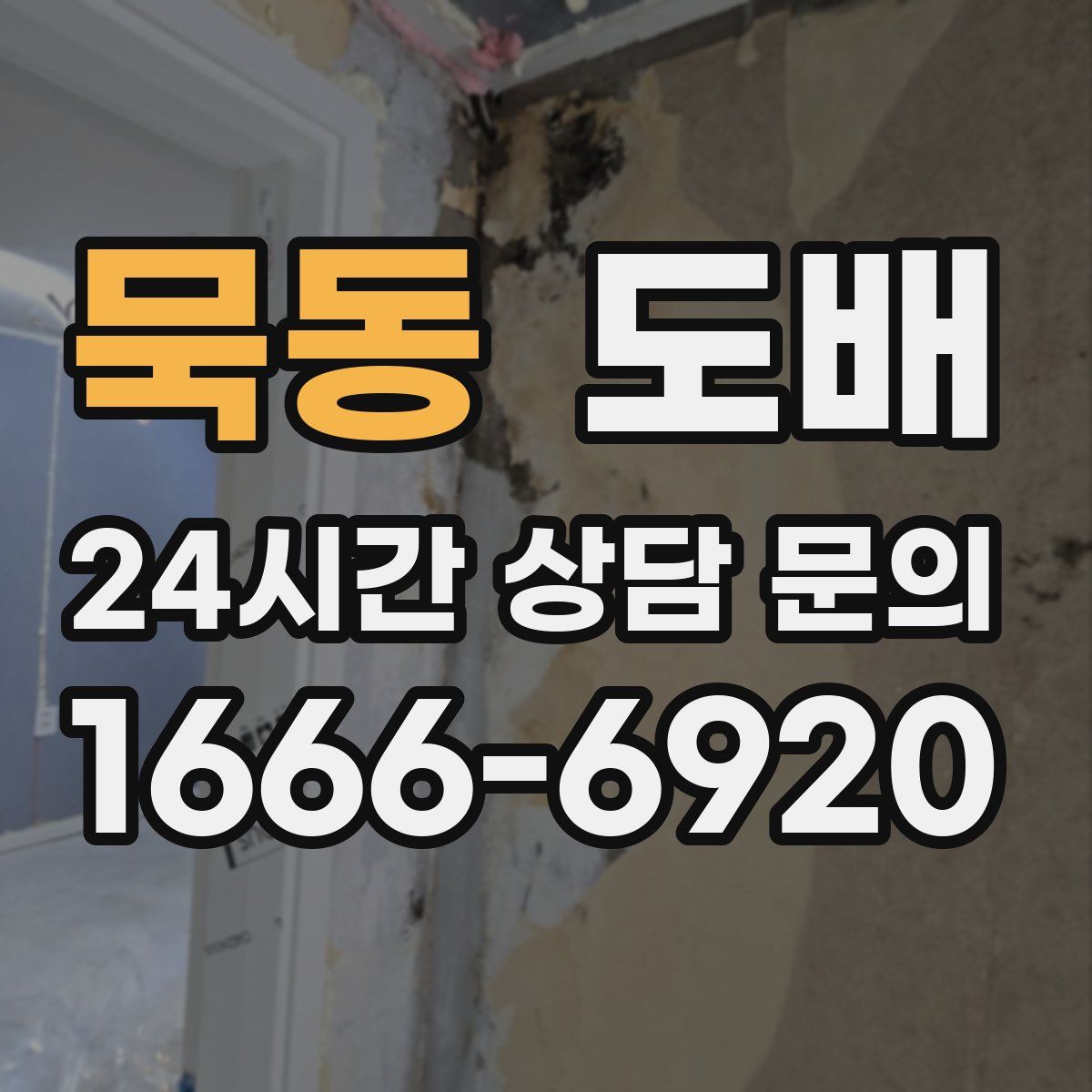 묵동 도배