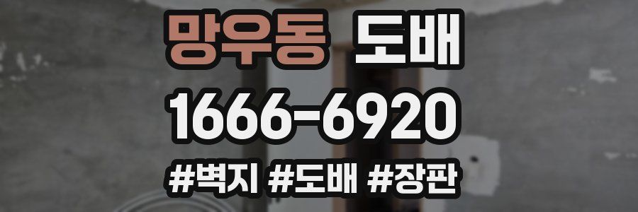 망우동 도배