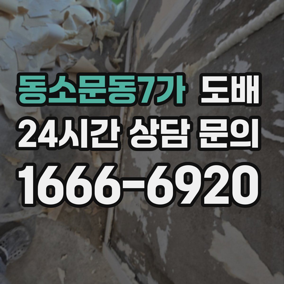 동소문동7가 도배