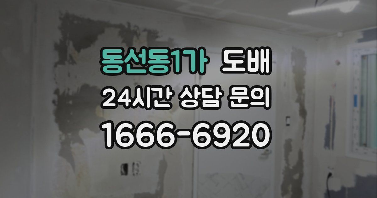 동선동1가 도배