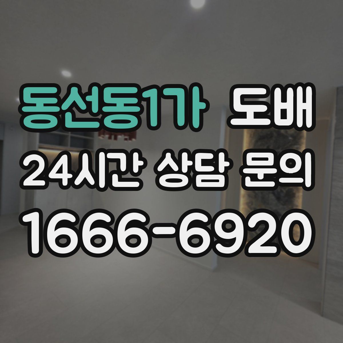 동선동1가 도배