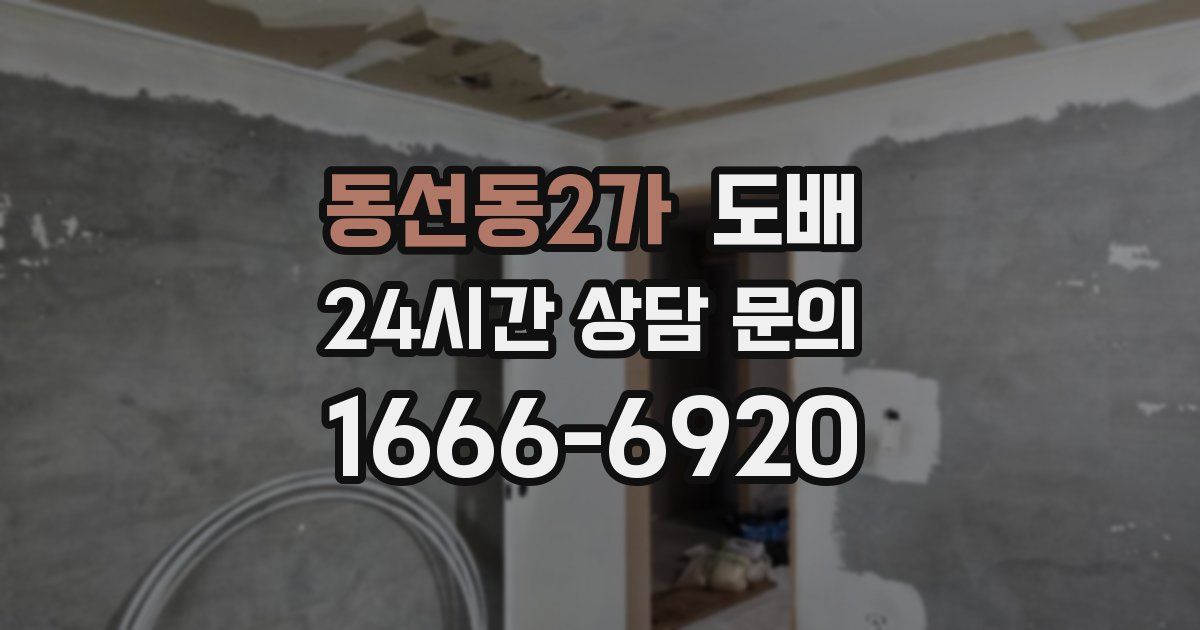 동선동2가 도배