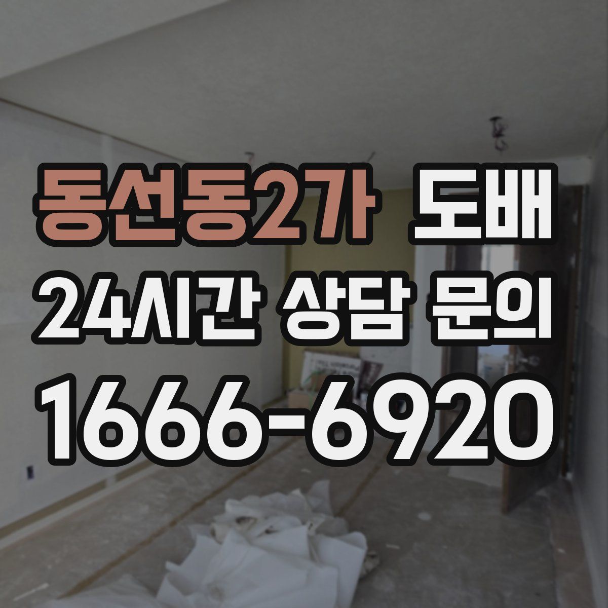 동선동2가 도배