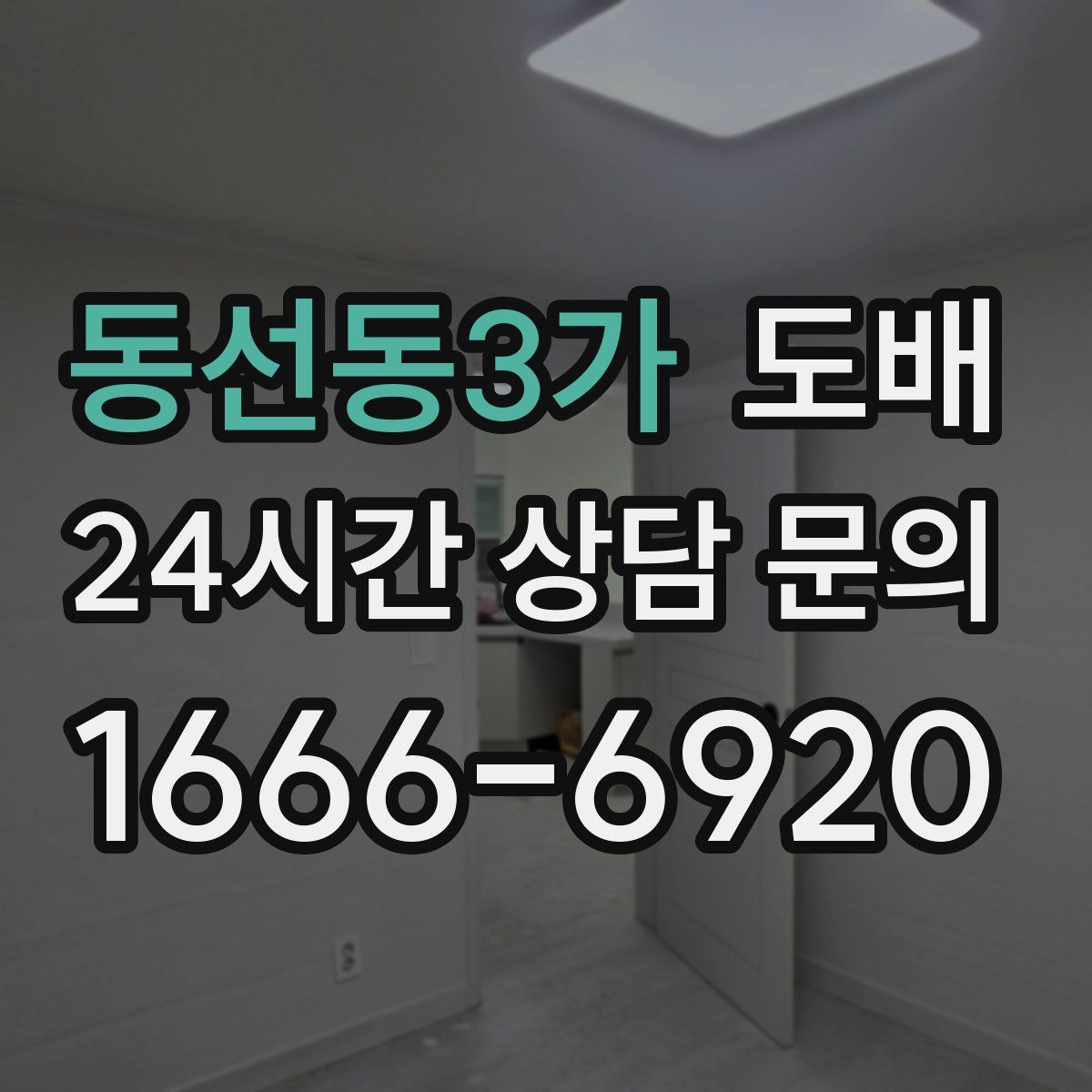 동선동3가 도배