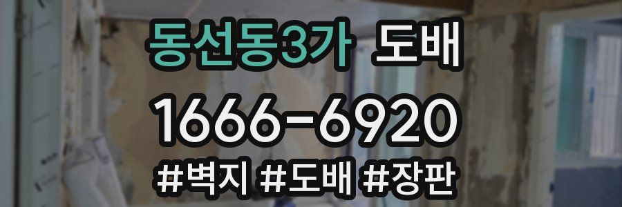 동선동3가 도배