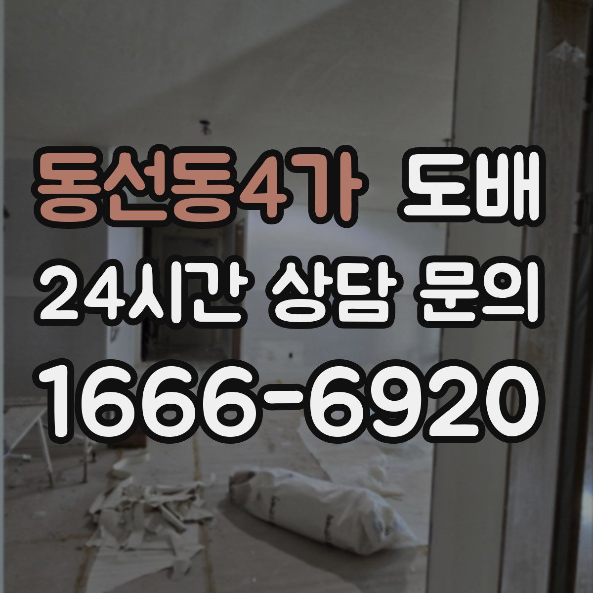 동선동4가 도배