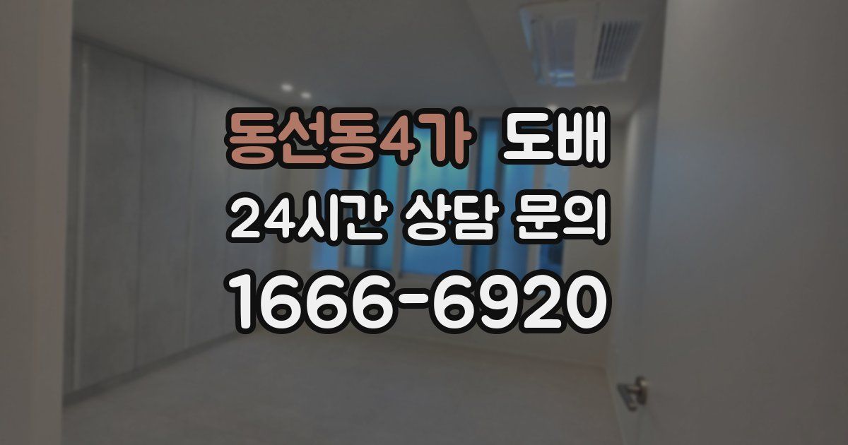 동선동4가 도배