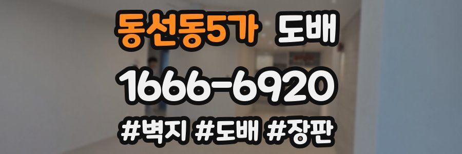 동선동5가 도배