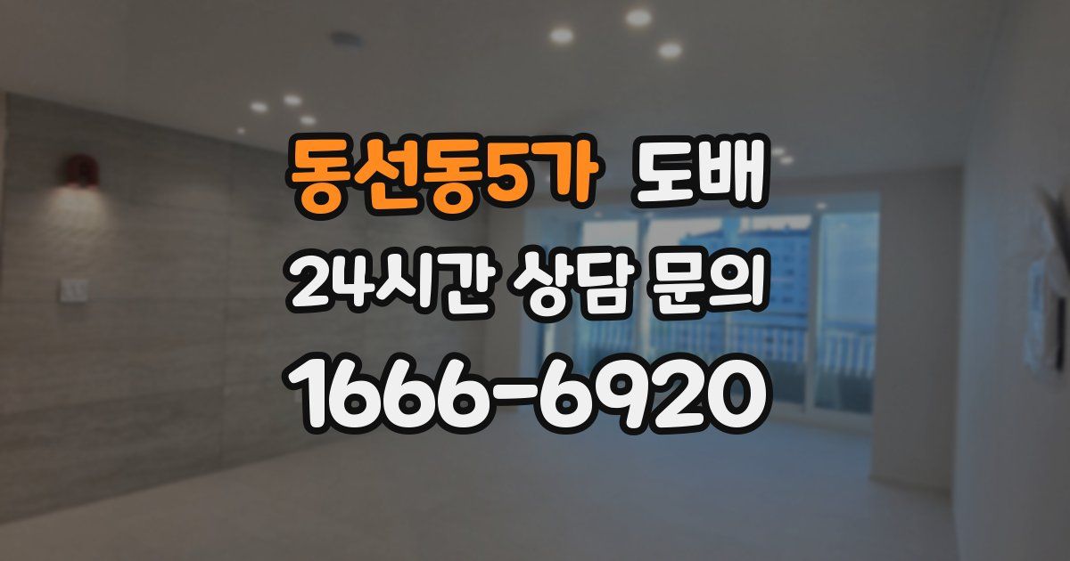 동선동5가 도배