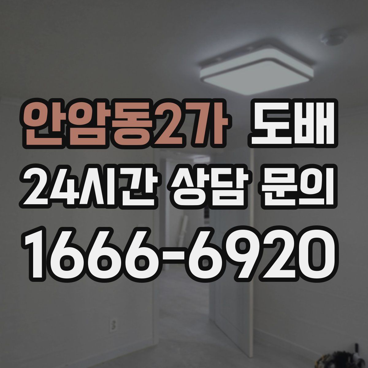 안암동2가 도배
