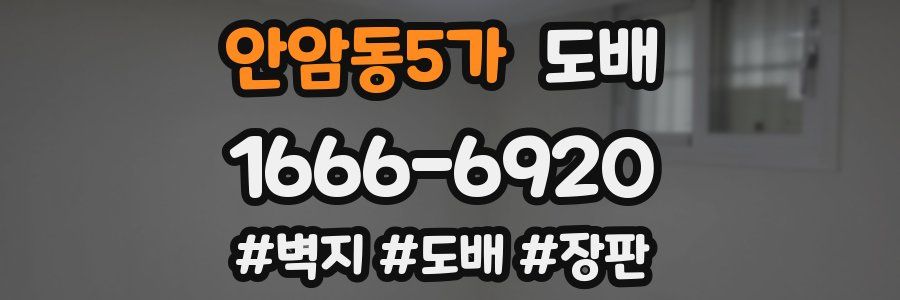 안암동5가 도배