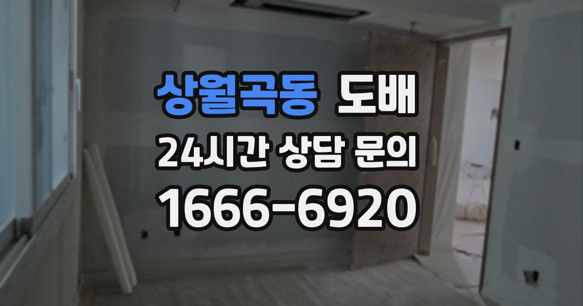 상월곡동 도배