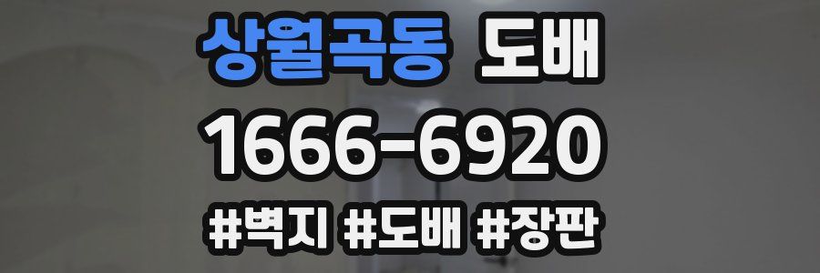 상월곡동 도배