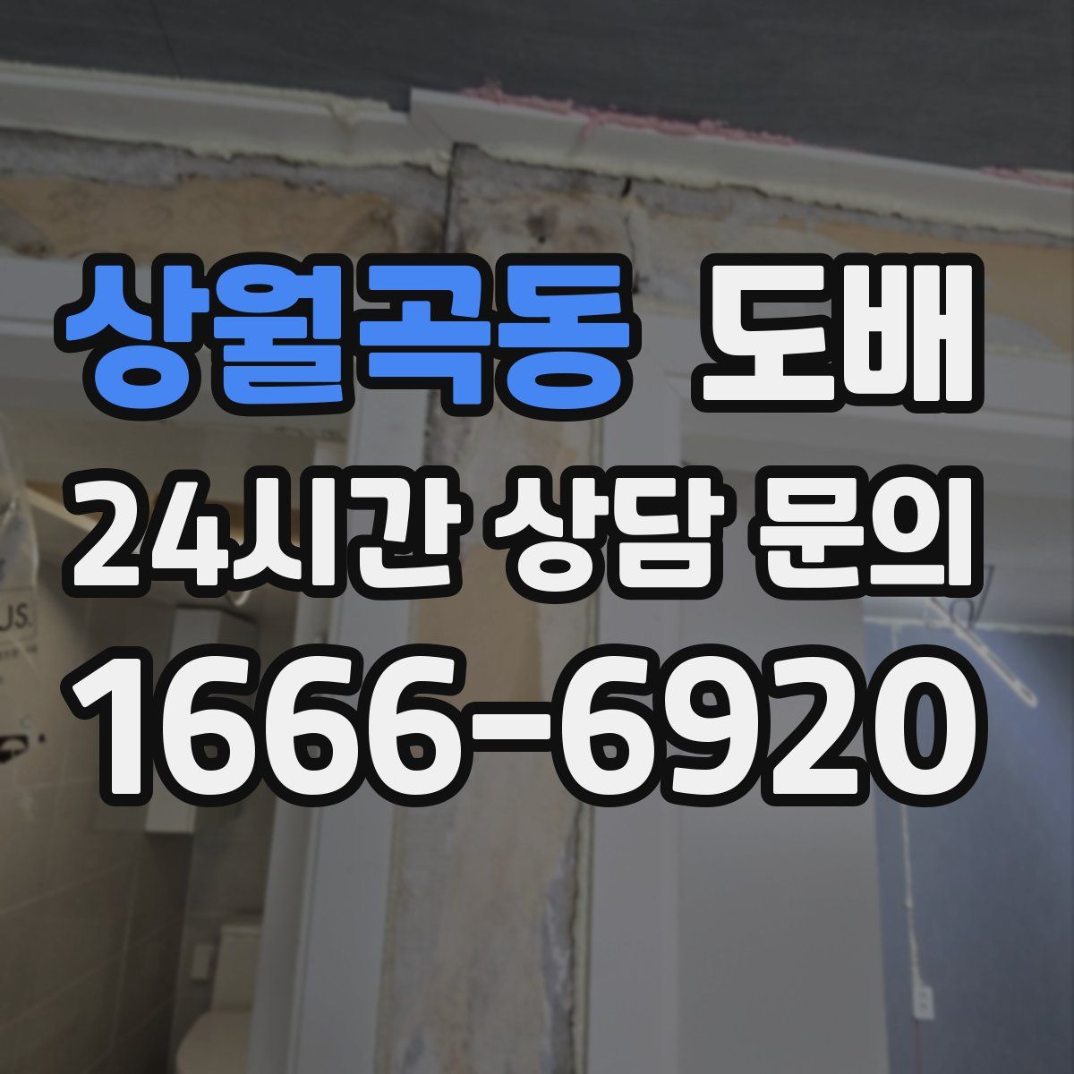 상월곡동 도배