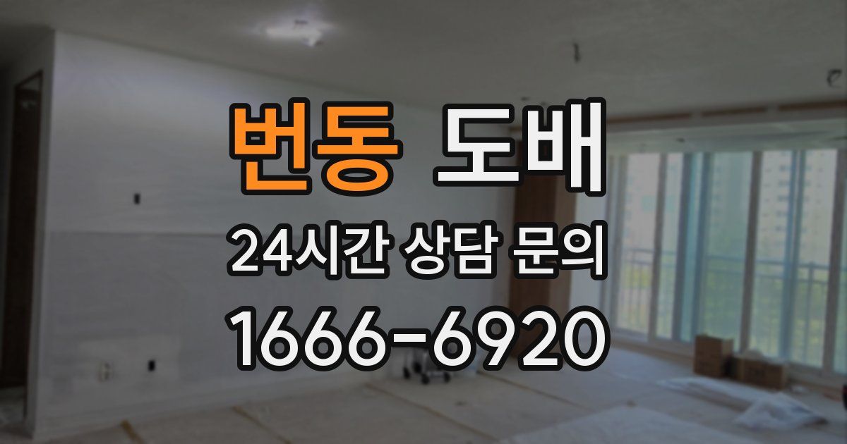 번동 도배