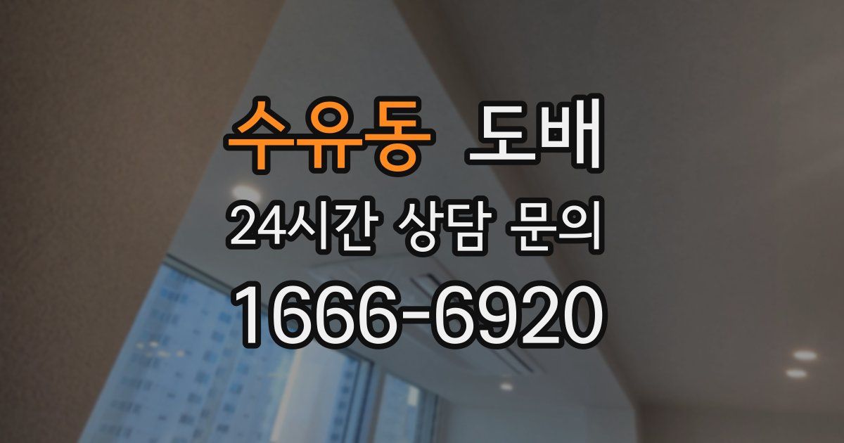 수유동 도배
